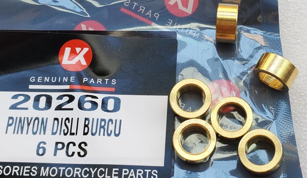 SPACE PİNYON BURÇ adet (20260)